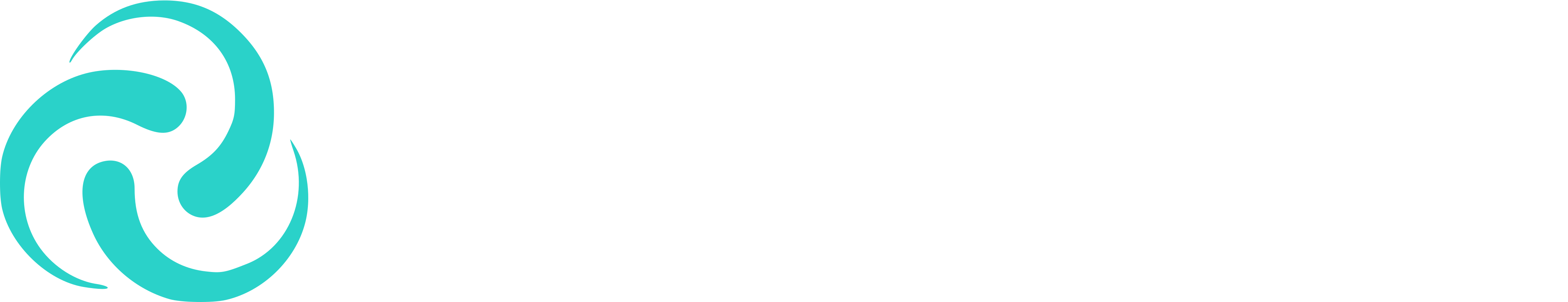 Nesso logo